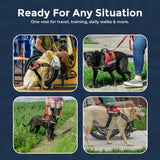 Do Not Pet Patch - Attachable Patches with Hook Backing for Do Not Pet Dog Vest Harness or Collar - Service Dog, Emotional Support, Service Dog in Training, and Therapy Patches