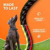 - Heavy Duty Bungee Rope Leash for Large and Medium Dogs - No Pull, Shock Absorber Long Dog Training Lead - No Slip Reflective Line for outside (5.5 Ft Bungee Leash)
